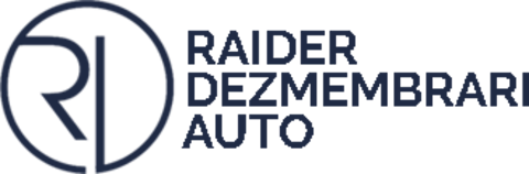 Raider Auto Dismantling Logo (dezoradea.ro) – Intel Logic client
